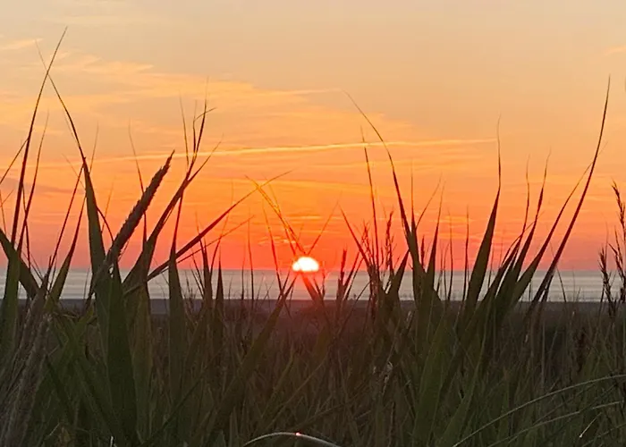 Daire Meeresbrise 1 *